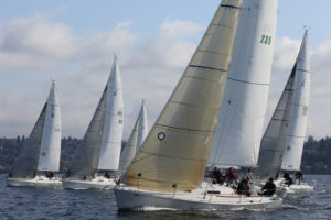 The J/105 fleet will be out in force again this year.