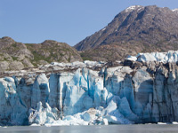 Johns Hopkins Glacier