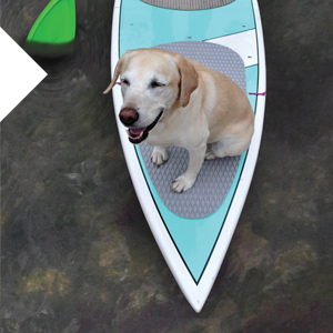 Seattle Sports SUP Dog Board Pad