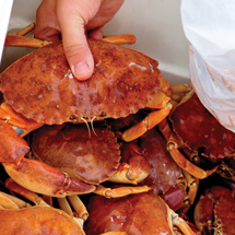 Dungeness Crab and Seafood Festival 