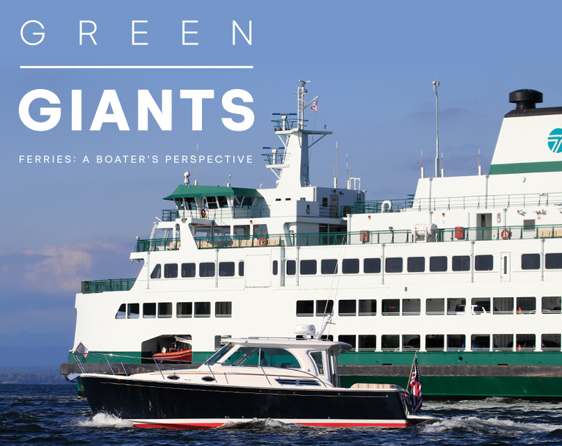 Green Giants: Photo by Alex Kwanten