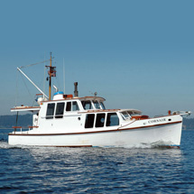 Go Your Own Way: Cedar Wave Charters