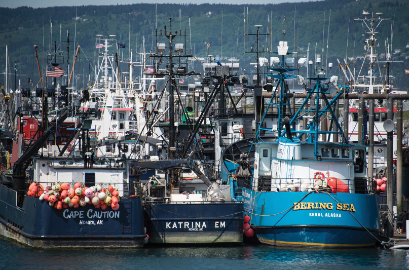 Commercial Fishers in Alaska