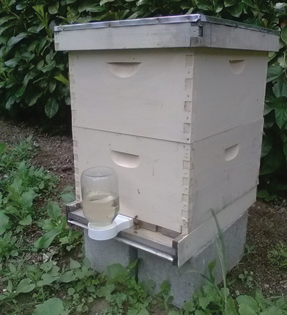 Beekeeping Apiary